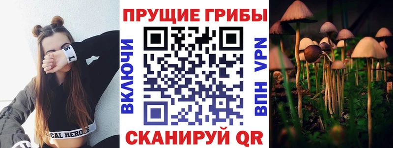 Галлюциногенные грибы Magic Shrooms  Купить  Ачхой-Мартан 